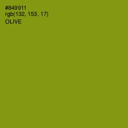 #849911 - Olive Color Image