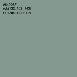 #84998F - Spanish Green Color Image