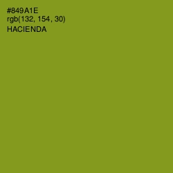 #849A1E - Hacienda Color Image