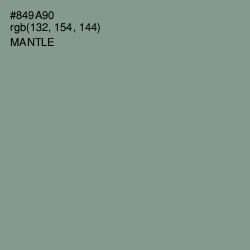 #849A90 - Mantle Color Image