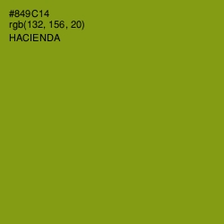 #849C14 - Hacienda Color Image