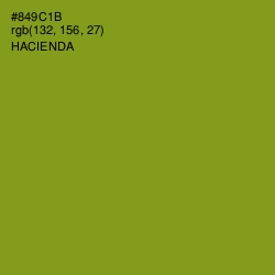 #849C1B - Hacienda Color Image