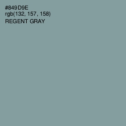 #849D9E - Regent Gray Color Image