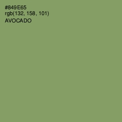 #849E65 - Avocado Color Image