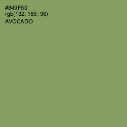 #849F60 - Avocado Color Image