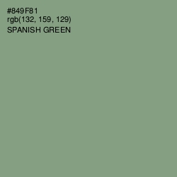 #849F81 - Spanish Green Color Image