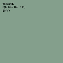 #84A08D - Envy Color Image