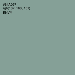 #84A097 - Envy Color Image