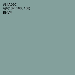 #84A09C - Envy Color Image