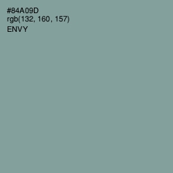#84A09D - Envy Color Image