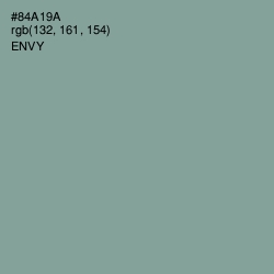 #84A19A - Envy Color Image
