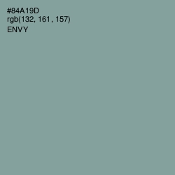 #84A19D - Envy Color Image