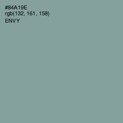 #84A19E - Envy Color Image