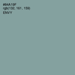 #84A19F - Envy Color Image