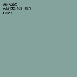 #84A39D - Envy Color Image