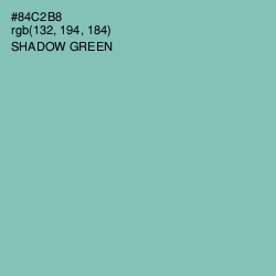 #84C2B8 - Shadow Green Color Image