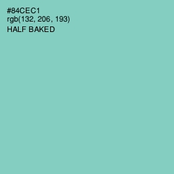 #84CEC1 - Half Baked Color Image