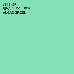 #84E1B7 - Algae Green Color Image