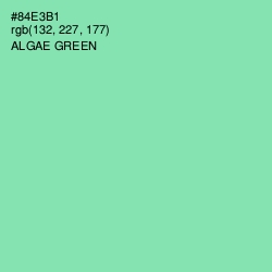 #84E3B1 - Algae Green Color Image