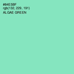 #84E5BF - Algae Green Color Image