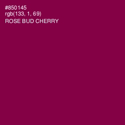 #850145 - Rose Bud Cherry Color Image