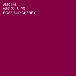 #850146 - Rose Bud Cherry Color Image