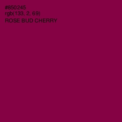 #850245 - Rose Bud Cherry Color Image