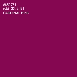 #850751 - Cardinal Pink Color Image