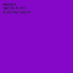 #8508C9 - Electric Violet Color Image