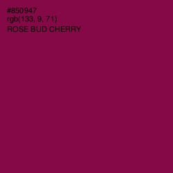 #850947 - Rose Bud Cherry Color Image