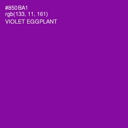 #850BA1 - Violet Eggplant Color Image
