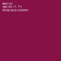 #851147 - Rose Bud Cherry Color Image