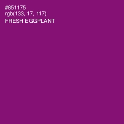 #851175 - Fresh Eggplant Color Image