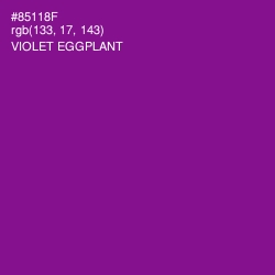 #85118F - Violet Eggplant Color Image