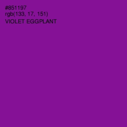 #851197 - Violet Eggplant Color Image