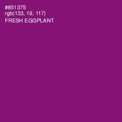 #851375 - Fresh Eggplant Color Image