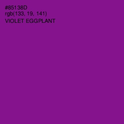 #85138D - Violet Eggplant Color Image