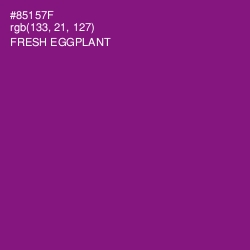 #85157F - Fresh Eggplant Color Image