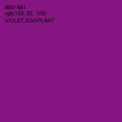 #851681 - Violet Eggplant Color Image