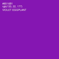 #8516B1 - Violet Eggplant Color Image