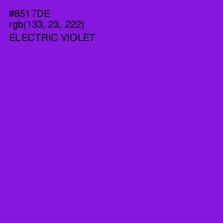 #8517DE - Electric Violet Color Image