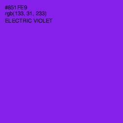 #851FE9 - Electric Violet Color Image