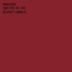 #85222B - Burnt Umber Color Image