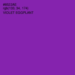 #8522AE - Violet Eggplant Color Image