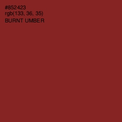 #852423 - Burnt Umber Color Image