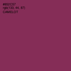 #852C57 - Camelot Color Image