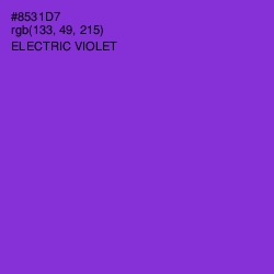 #8531D7 - Electric Violet Color Image