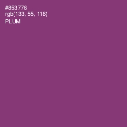 #853776 - Plum Color Image