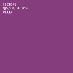 #853D7E - Plum Color Image