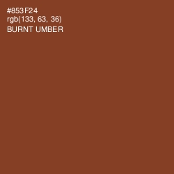 #853F24 - Burnt Umber Color Image